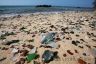 Sea glass on the beach and Portuguese Man-of-War (Physalia physalis)-Sandys parish
