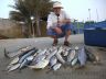 Catch of Fish-Abu Dhabi-UAE